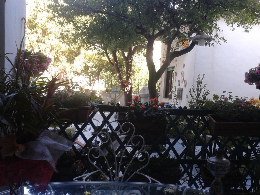 B&B Albatros Lipari  Ruang foto