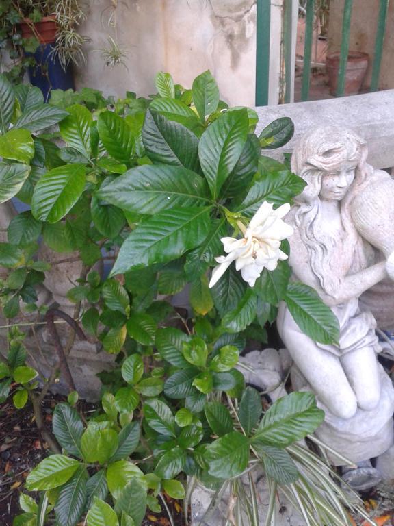 B&B Albatros Lipari  Bagian luar foto