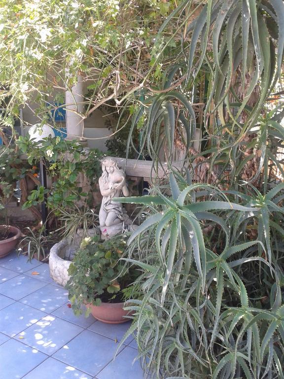 B&B Albatros Lipari  Bagian luar foto