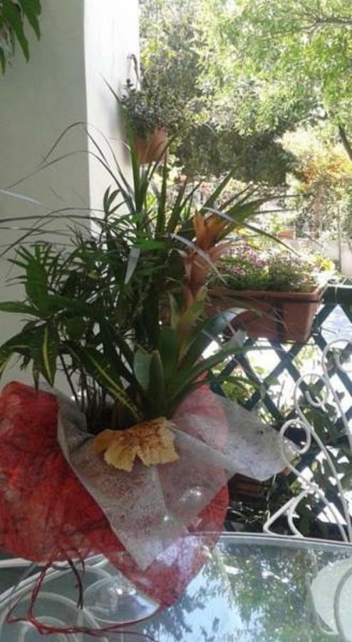 B&B Albatros Lipari  Bagian luar foto