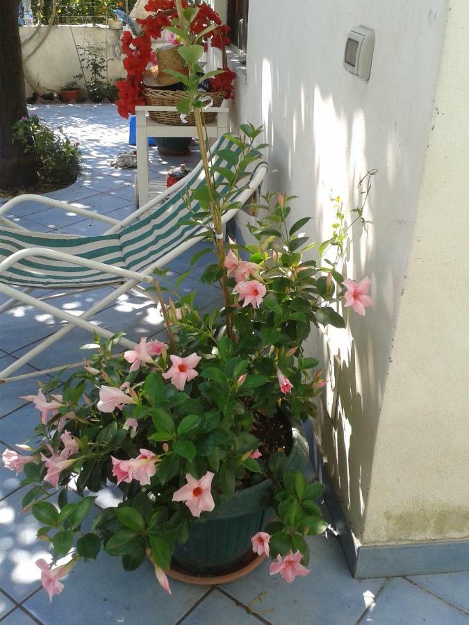 B&B Albatros Lipari  Bagian luar foto