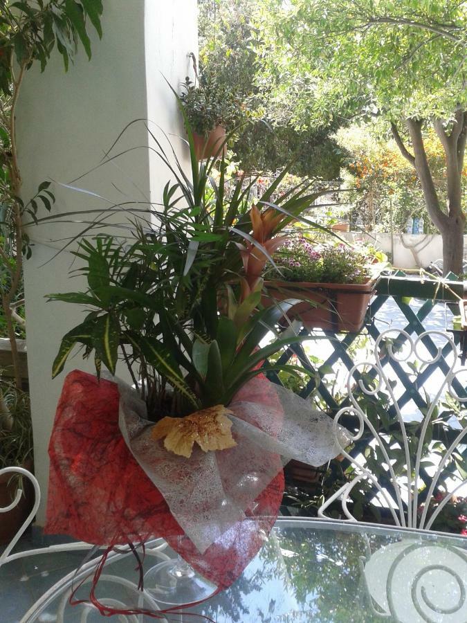 B&B Albatros Lipari  Bagian luar foto
